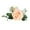 Beige, variant on Artificial Rose Curtain Tie Backs Spring Decorative Floral Curtain Holdbacks Cloth Flower Curtain Clips for Living Room, Bedroom, Wedding Decor & Window Treatment Use