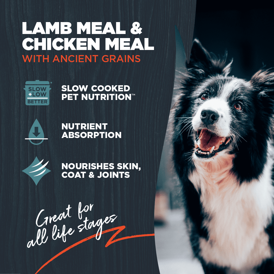 Blackwood Dry Dog Food Lamb & Chicken Meal with Ancient Grains 10 lb.