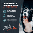 View all media