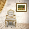 thumbnail image 3 of Gulin, Sylvia 24x19 Gold Ornate Wood Framed with Double Matting Museum Art Print Titled - USA-Washington State-burnt forest and fire weed along Lake Cle Elum Washington Cascades, 3 of 4