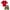 Red Palm Tree, variant on Big Chill Boys' Rash Guard Swimsuit - 2 Piece Rash Guard and Swim Trunks for Boys (Sizes: 4-12)