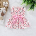 thumbnail image 1 of Falda para perro de primavera y verano, ropa para perro pequeño, mediano, de peluche y gato, linda falda para perro, estilo princesa fina, 1 of 6