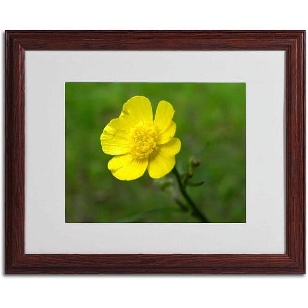 Trademark Fine Art "Unadorned" Canvas Art by Monica Fleet, White Matte, Wood Frame