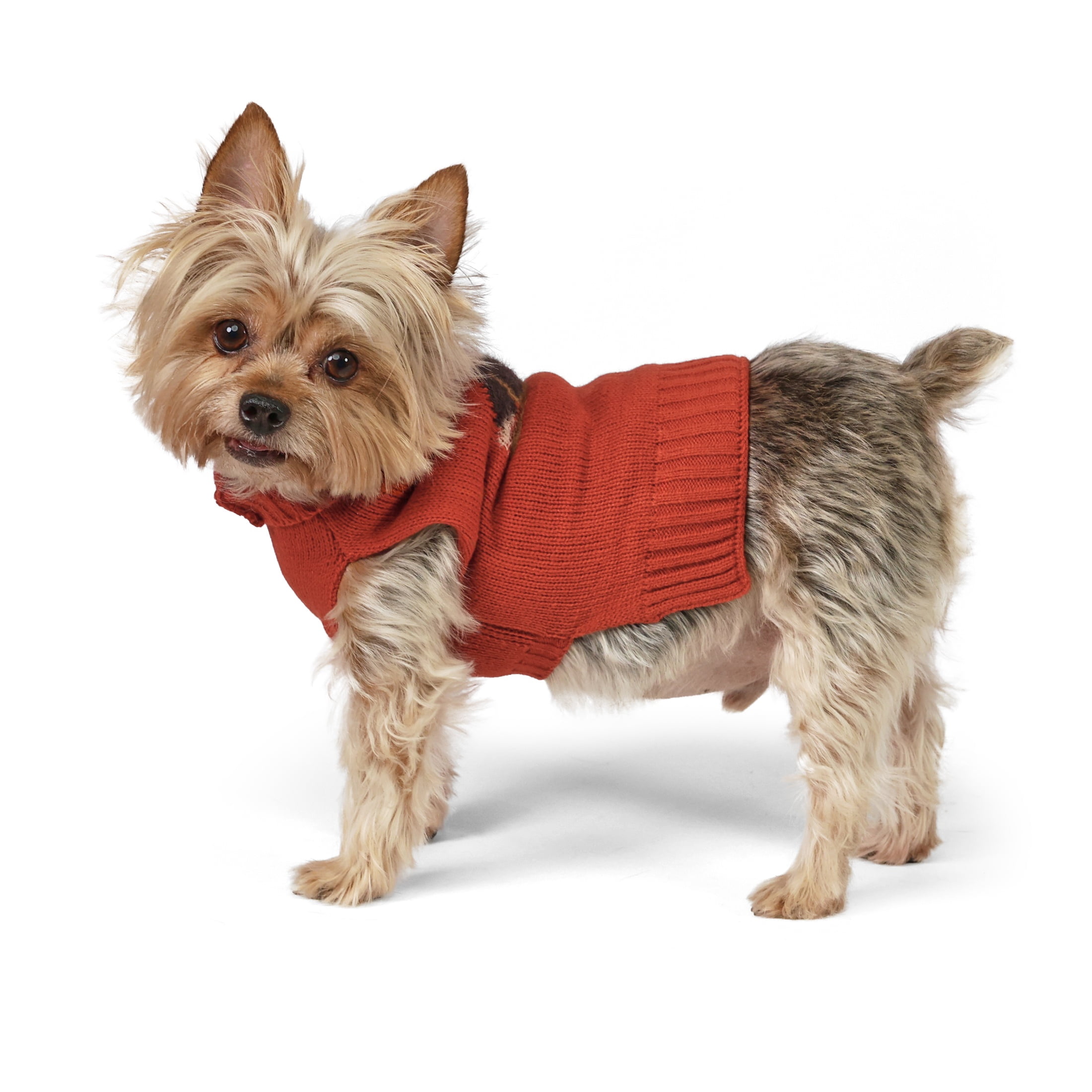 Vibrant Life Knit Sweater for Dogs and Cats, Teddy Bear, Orange, XS