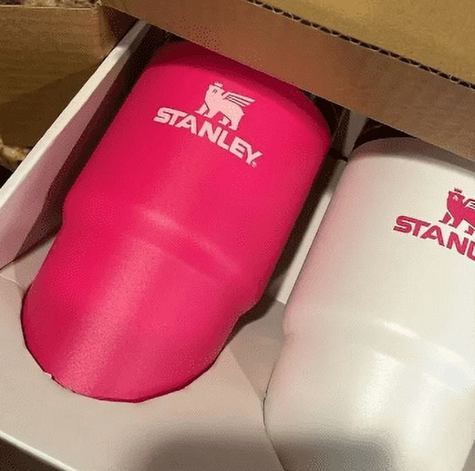 Stanley 2 pk 20 oz. Stainless Steel H2.0 Flowstate Quencher Tumblers Pink  Vibes/Frost Set Christmas Gift 