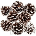 thumbnail image 1 of 25 Piñas de Pino Naturales de Navidad a Granel XCF Adorno Colgante 1,6 a 2 Pulgadas, 1 of 4