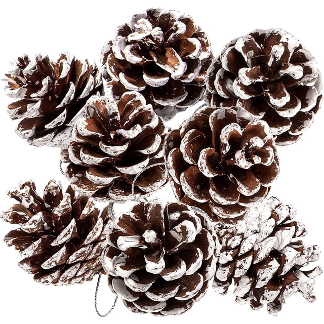 25 Piñas de Pino Naturales de Navidad a Granel XCF Adorno Colgante 1,6 a 2 Pulgadas