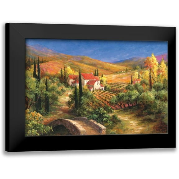 Fronckowiak, Art 14x11 Black Modern Framed Museum Art Print Titled - Tuscan Bridge