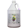 ERADICATOR Natural Lice Treatment Foam Mousse / 1 Gallon (128 Oz) Refill Bottle / Non-Toxic, Soothing Peppermint Formula
