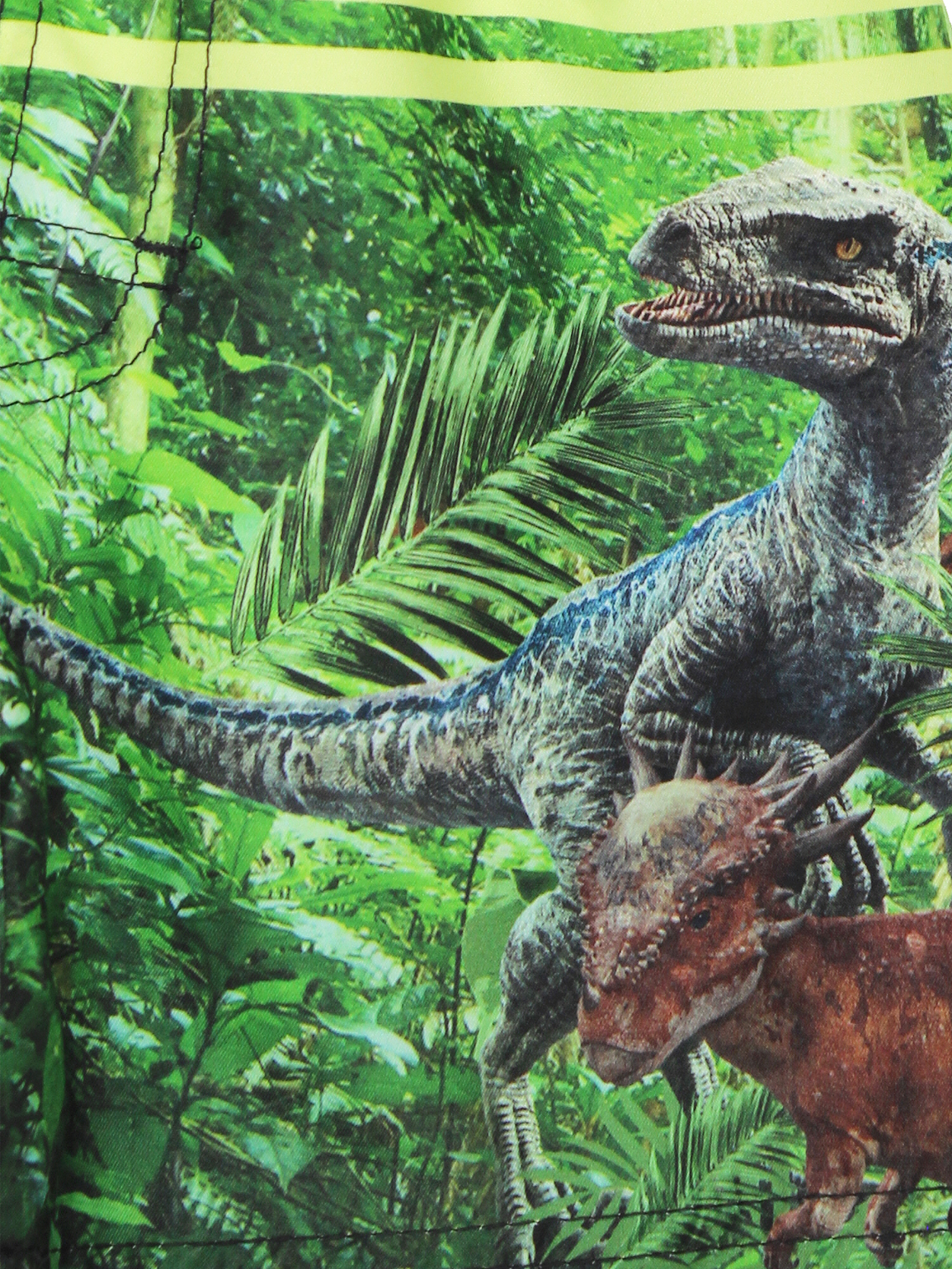 jurassic world swimwear