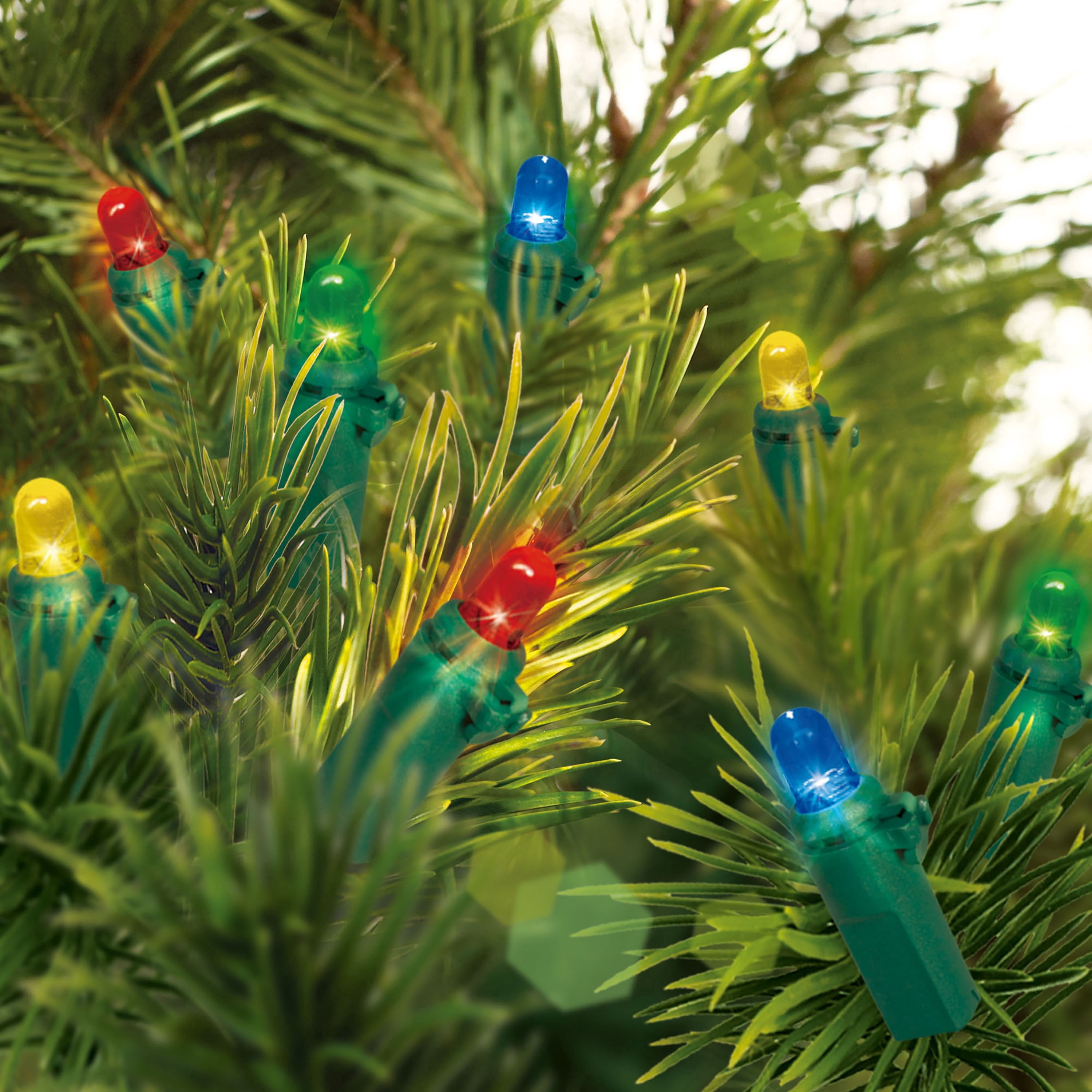 Indoor 20-Count Battery-Operated LED Dome Christmas String Lights, Multicolor, Green Wire, 6.5', by Holiday Time
