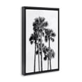 thumbnail image 2 of Stupell Industries Coastal Black & White Palm Tropics Black Floating Frame Canvas Art, 21 x 31, by Natalie Carpentieri, 2 of 7
