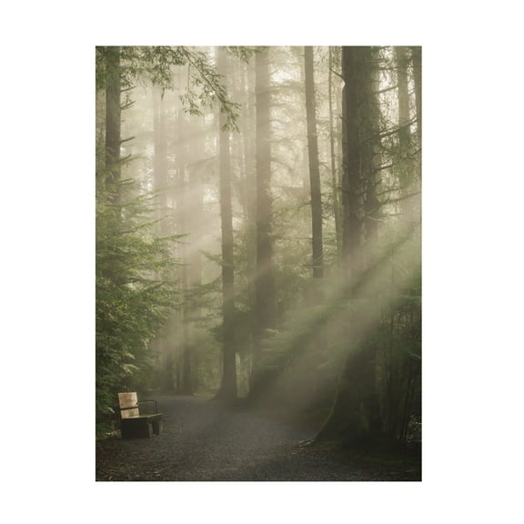 Trademark Fine Art Misaki Saito KomorebiaAeUae&Frac14;AAeY Canvas Wall Art