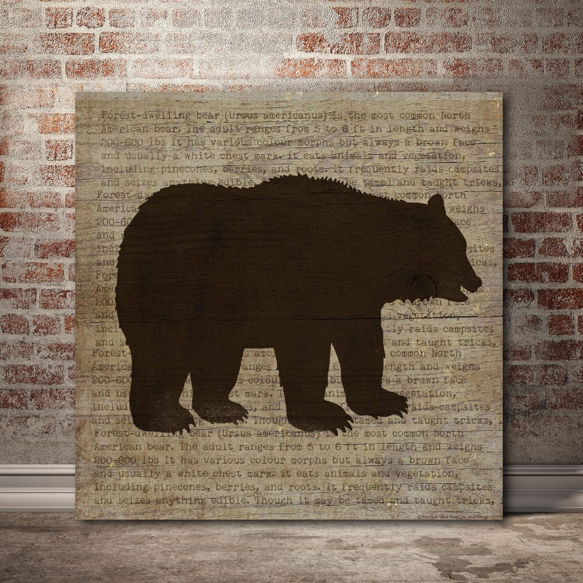 Brown Bear Gallery-Wrapped Canvas Wall Art, 16x16