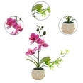 thumbnail image 3 of Flor falsa de doble horquilla, simulación de phalaenopsis, decoración creativa de bonsái pequeño, planta artificial en maceta, planta verde, 3 of 5
