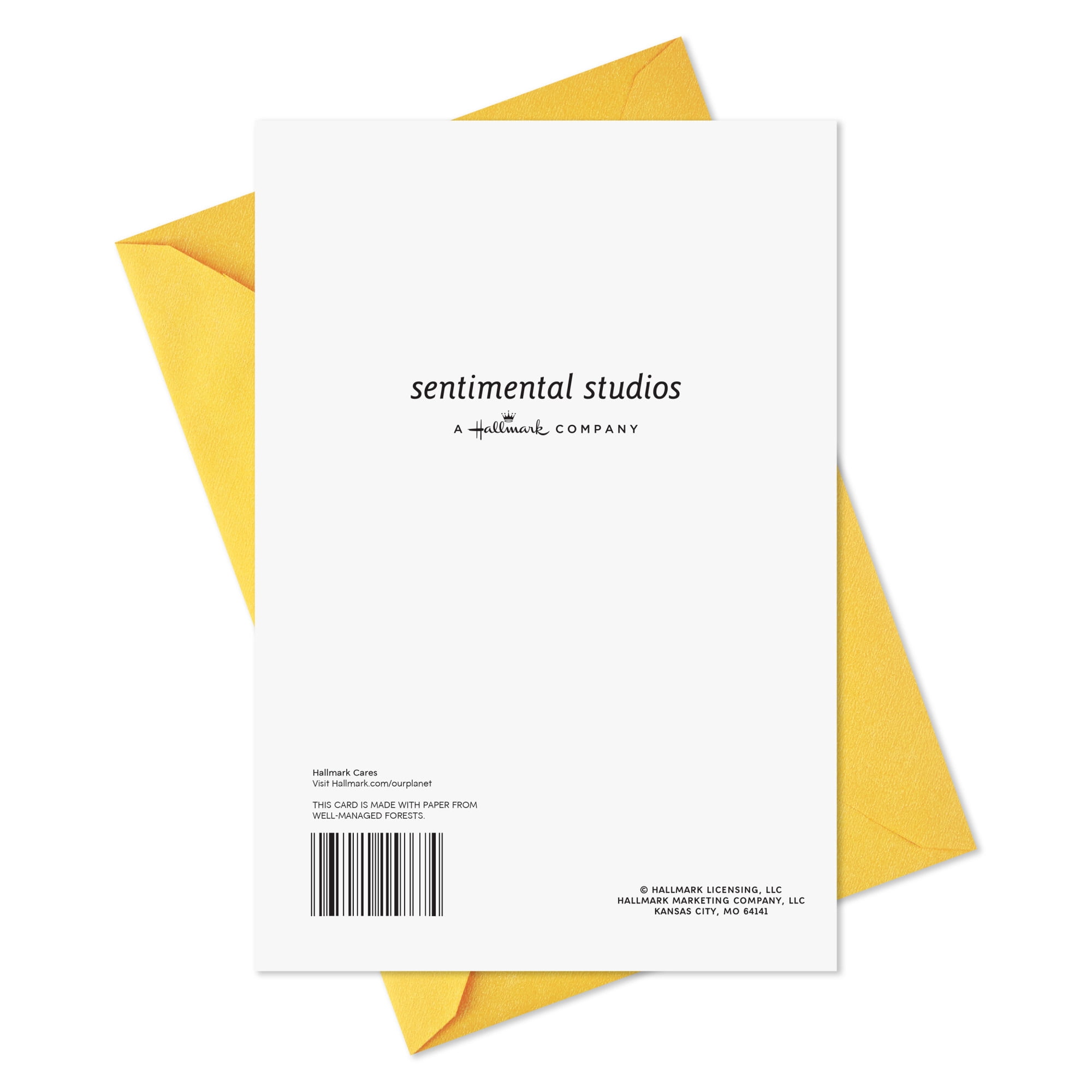Hallmark Birthday Card (Wishing You a Full Heart)