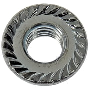 Nut: Hex Nuts; flange M8-1.25