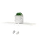 thumbnail image 1 of Advancent Planta en maceta pequeña suculenta simulada - Maceta de cemento con textura realista que hace que todo sea suculento falso Decoración del hogar lindo cerdo02, 1 of 6