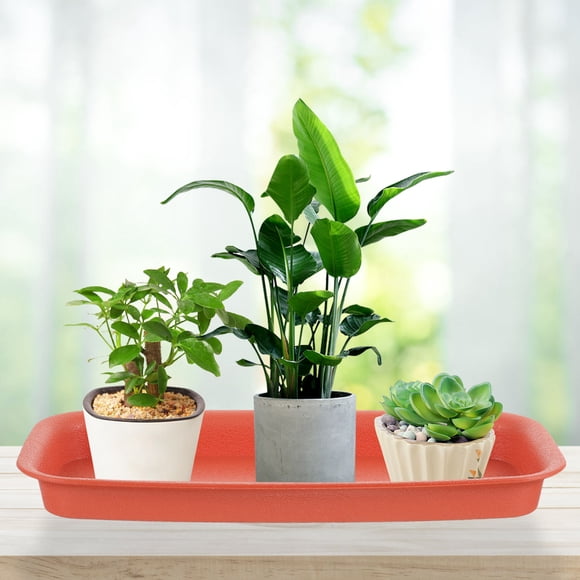 MERRYHAPY 6Ud Rectangular Para Macetas Plantas Material Plástico Resistente Color Oscuro