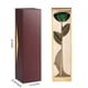 thumbnail image 1 of Rose de 24k Rose Long Bañado de Oro Red en Oro, 1 of 7