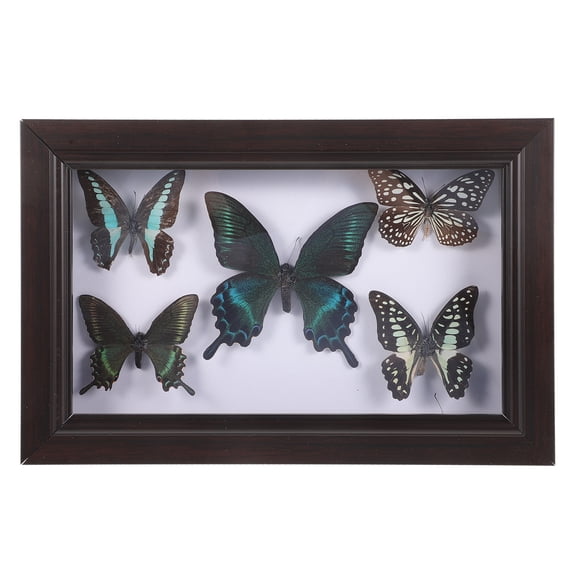 Marco de fotos de madera con mariposa decorativa para pared