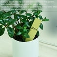 thumbnail image 5 of Unique Bargains PVC Plant Label Stakes 10 x 2cm Water Resistant for Garden Tag Yellow 100 Pack, 5 of 5
