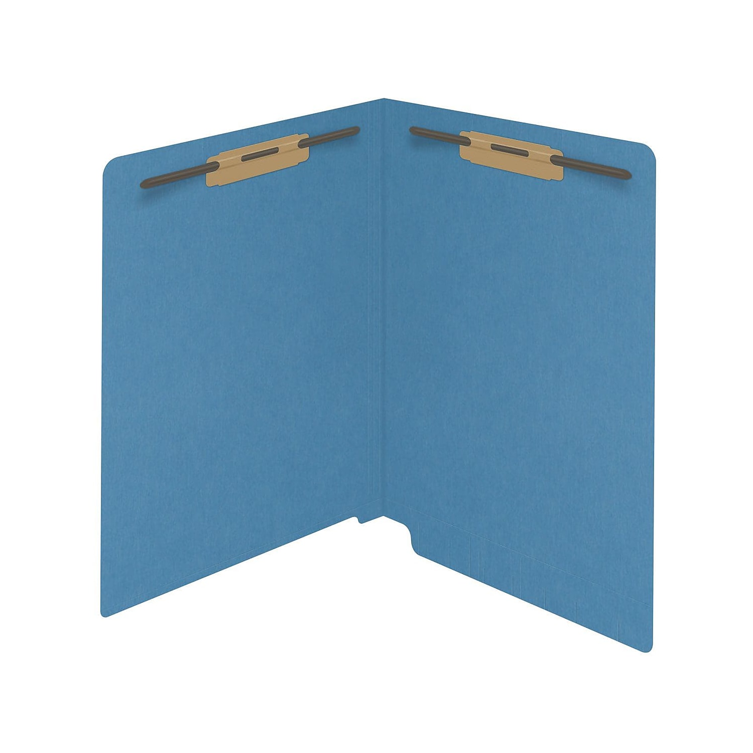Medical Arts Press Reinforced End Tab File Folder Straight Cut Letter-Size Blue 50/Box (S-01602-BLU)