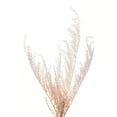 thumbnail image 2 of Vickerman 20.5" Ivory Artificial Reed Grass Wreath., 2 of 6