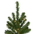 thumbnail image 5 of Northlight Pre-Lit Canadian Pine Artificial Pencil Christmas Tree - 6.5' - Clear Lights, 5 of 5