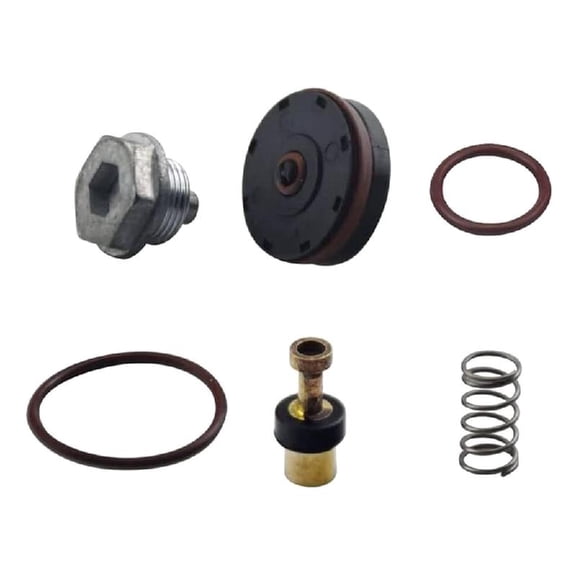 Air Compressor Regulator Repair Kits N008792 for D55155 D55167 D55684 1WC94 C006 Models