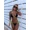 Black and Yellow Brocade, variant on 2pcs Women Black & Hot Pink Trim Tie Side Bikini Set for Beach Vacation Summer Swimwear