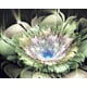 thumbnail image 1 of Taladro completo DIY diamante pintura seguro cristal diamantes de imitación bordado imágenes 8075 flor verde seitruly HA6552-07B, 1 of 6