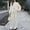 Beige, variant on Teen Girls Sequins Jackets Sparkle Baggy Wide Leg Pants 2 Piece Sweatsuit Set Trendy 𝖳racksuits Party Holiday Glitter Cute Casual Outgoing Outfit