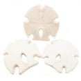 thumbnail image 2 of Set of 12: White Rustic Arrowhead Sand Dollars 3-3 1/2" Beach Wedding Coastal Cottage Decor, 2 of 7