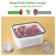 thumbnail image 3 of Recipientes de fruta Freshmage, 5 unidades, para nevera con colador, 3 of 8