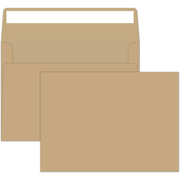 A9 Clear Plastic Envelope Bags - 100 Pieces - Measures 6 1/4 x 9 1/4 -  Fits Half Fold Greeting Cards and A9 Envelopes