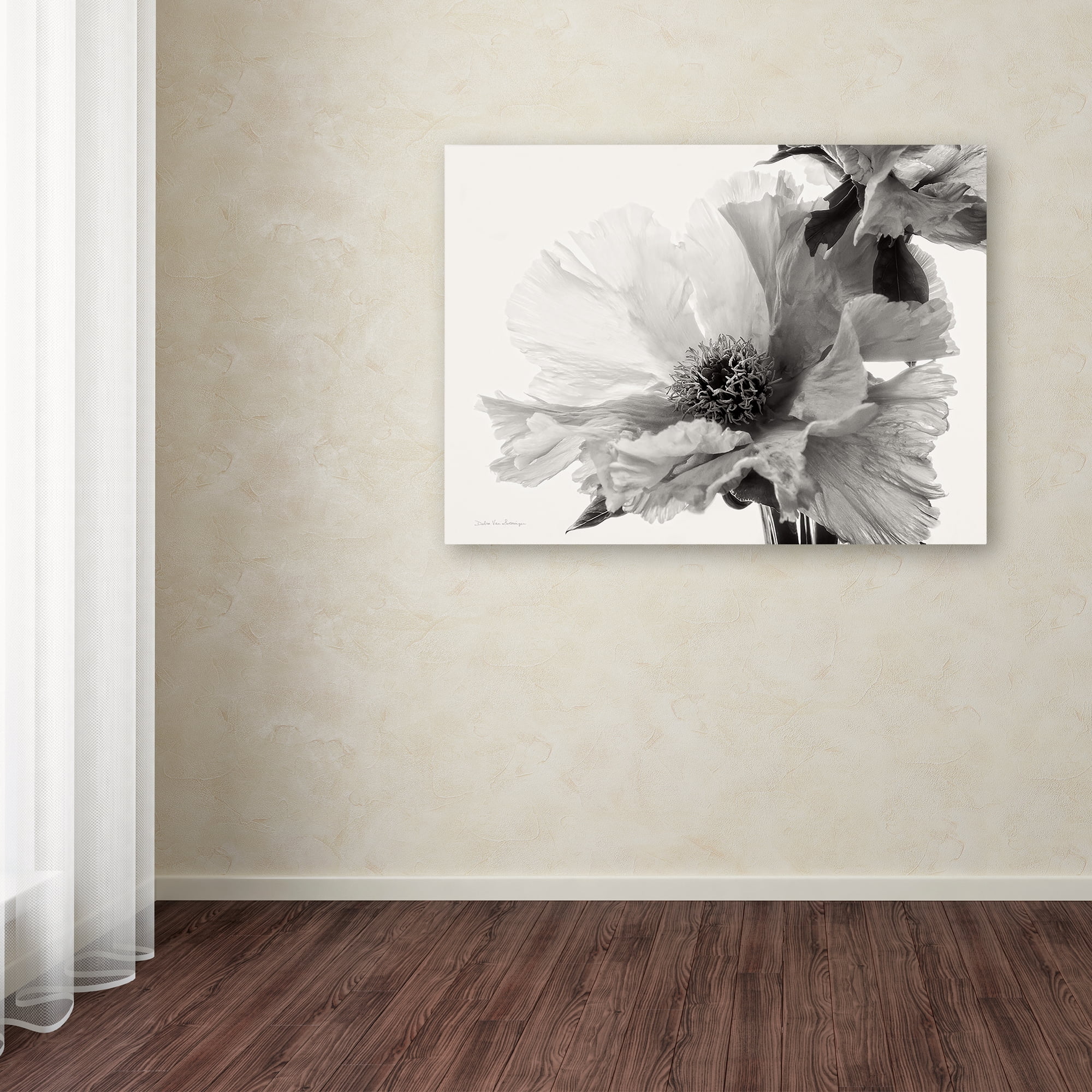 Trademark Fine Art 'Translucent Peony VBW' Canvas Art by Debra Van Swearingen