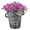 Bronze, variant on BJVF Picasso Face Planter, Large Funny Abstract Art Resin Pot for Succulents, Indoor Outdoor Decorative Cubist Face Flower Pot, Unique Plant Lover Gift, 8.3 Inch