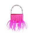 thumbnail image 1 of Bolso bandolera de mujer, bolso con caja de plumas de avestruz a juego, bolso de mano de noche para mujer, 1 of 5