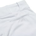 thumbnail image 5 of Champro Sports Triple Crown Knicker Youth Baseball Pants, 5 of 5