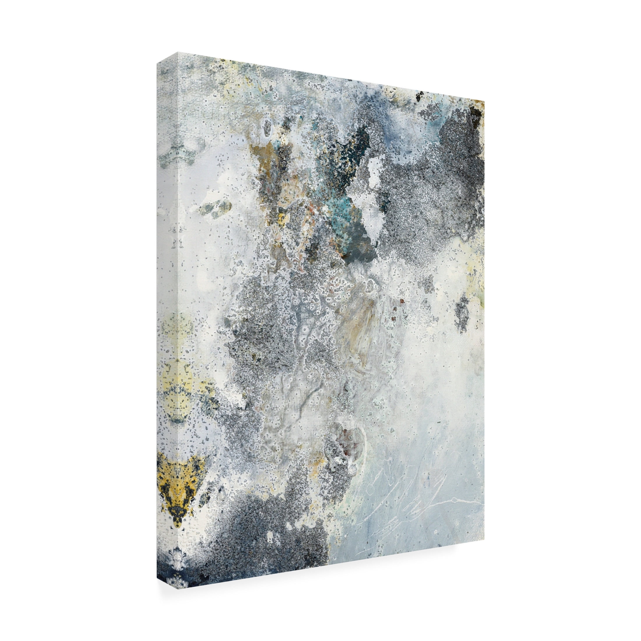 Canvas Wall Art - Deb Chaney 'Boyle Point' Wall Art for Living Room, Bedroom, or Office Décor by Trademark Fine Art - 24 x 32 Inches