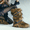 Brown Strap, variant on Women's Winter Fuzzy Round Toe Suede Snow Boots - Slip-On Flat Heel for Outdoor & Indoor - Fashion Warm Fluffy Shoes 2026