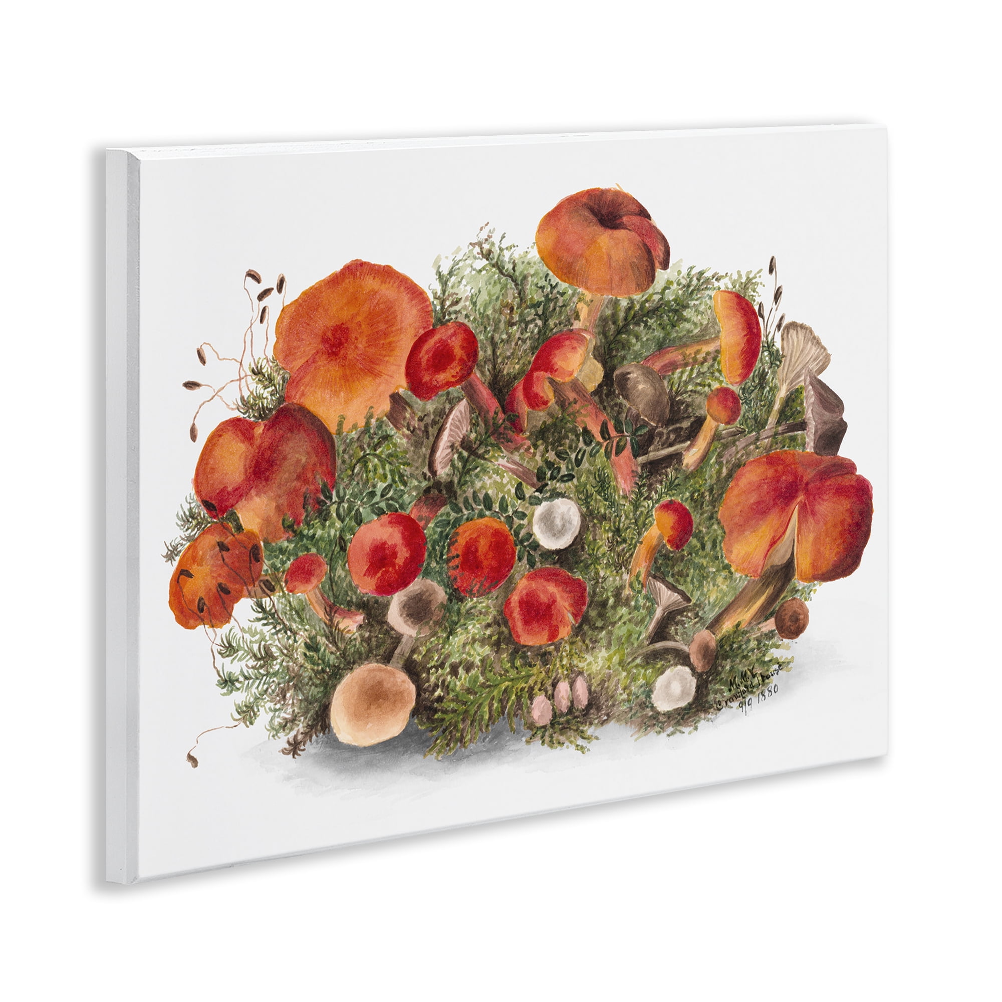 Stupell Industries Rustic Cottage Mushrooms Botanical & Floral Painting Unframed Art Print Wall Art, 14 x 11