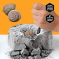 thumbnail image 3 of Discovery™ #Mindblown Fossil Excavation Kit, 3 of 7