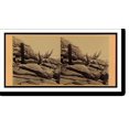 thumbnail image 2 of Historic Framed Print, Outside view Fort Sumter - 2, 17-7/8" x 21-7/8", 2 of 9
