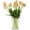 Champagne, variant on 20pcs Artificial Tulip Flowers,16 Inch Real Touch Tulip Stems with Faux Leaves, Faux Tulips and Buds for Home Décor Centerpiece Ornament Wedding Bouquet,Champagne
