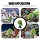 thumbnail image 3 of BEADCEST De Planta Artificial Para Acuario Árbol Plástico Para Paisaje Natural, 3 of 6