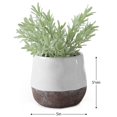 thumbnail image 2 of Corsica Ceramic Crackle 2 Tone 4" Round Pot, White, 2 of 4
