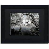 Trademark Fine Art "White Foliage" Canvas Art by Philippe Hugonnard, Black Matte, Black Frame