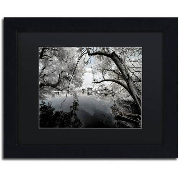 Trademark Fine Art "White Foliage" Canvas Art by Philippe Hugonnard, Black Matte, Black Frame